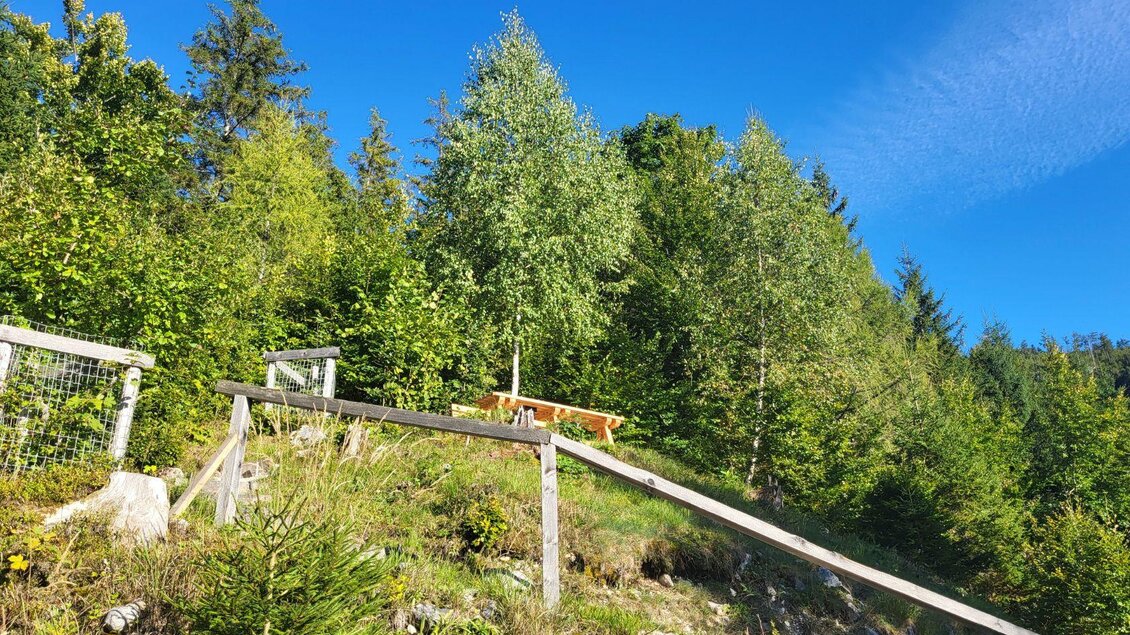 Zur Erhöhung mit dem Bürgermeisterbankerl führen ein paar Stufen mit einem Holzgeländer. Dahinter sind hohe Bäume und ein blauer Himmel zu sehen. | © TVB Ausseerland Salzkammergut