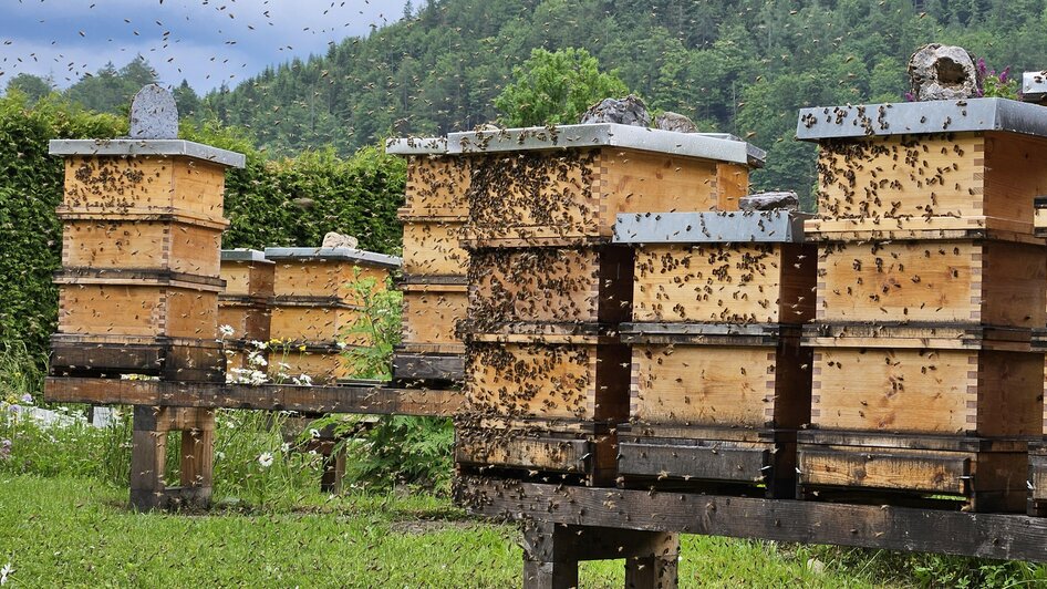 Bienenstöcke