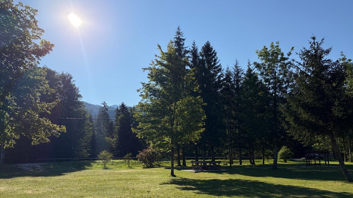 <p>Ein sonniger Tag beim Freizeitzentrum Gößl mit vielen Bäumen und  einer großen Liegefläche.</p> | © Tourismusverband Ausseerland