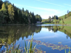 Badesee in Krakaudorf | © Badesee Krakaudorf