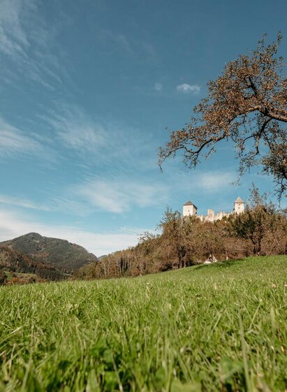 Burgruine Gallenstein | Thomas Sattler | © Thomas Sattler