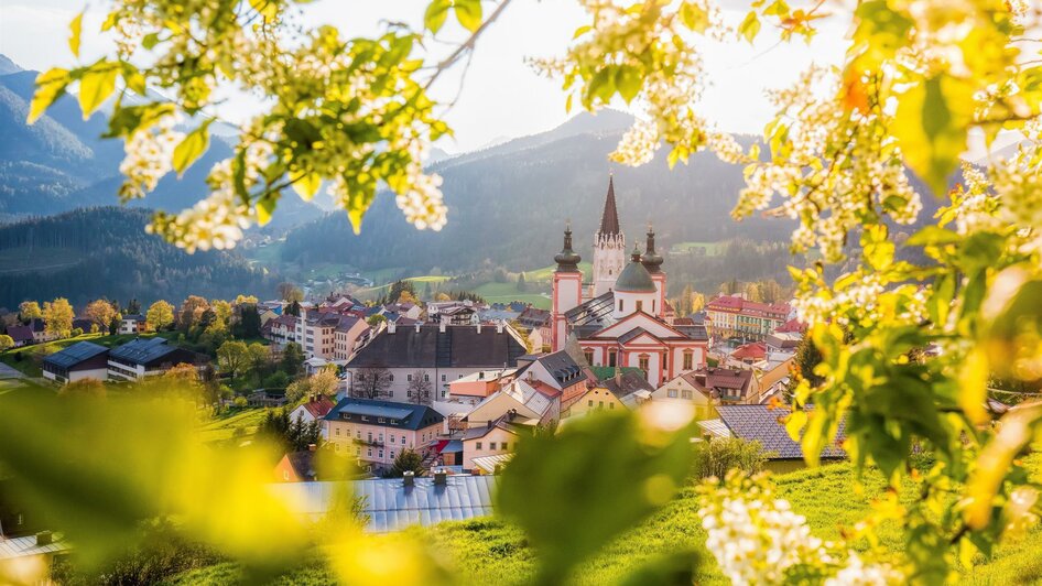 Basilika im Frühling | © TV Hochsteiermark