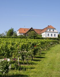 Exterior view Bergstadl Leitersdorfberg  | © Bergmann | Bergstadl Fam. Pichler | © Bergmann