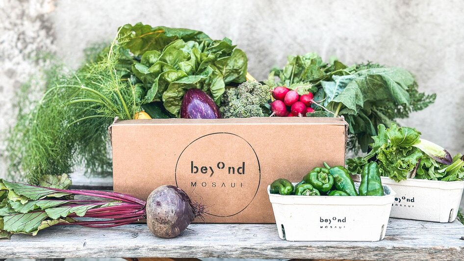 BeyondMosauf-Box-Murtal-Steiermark | © Beyond Mosauf