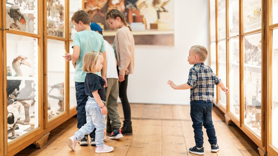 Naturhistorisches Museum | © Thomas Sattler