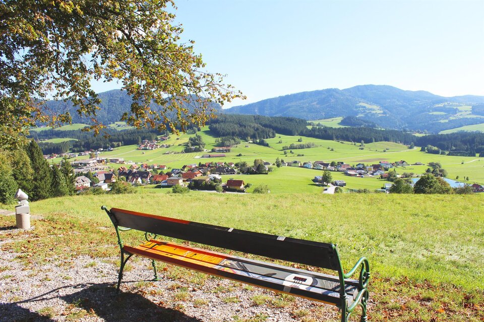 Bienen- & Waldlehrpfad Passail - Impression #1 | © Tourismusverband Oststeiermark