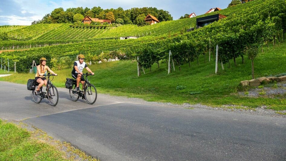 Entlang Weingärten radeln | © Radverleih Aktiv Bike