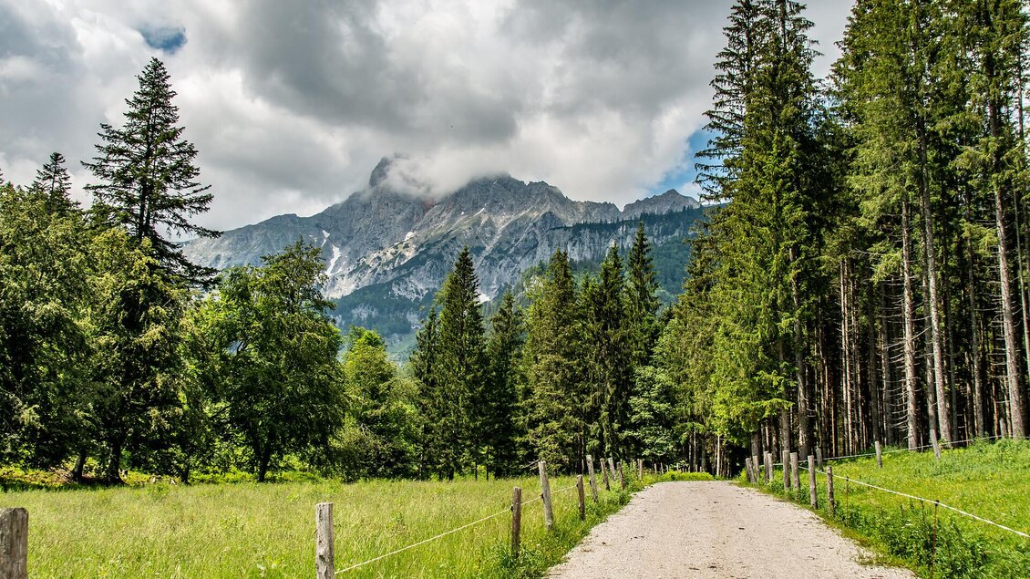 Eine malerische Landschaft mit grünen Hügeln und einer blühenden Wiese. Im Hintergrund ist ein schönes Haus und ein blauer Himmel mit vielen Wolken zu sehen. | © Christian Scheucher