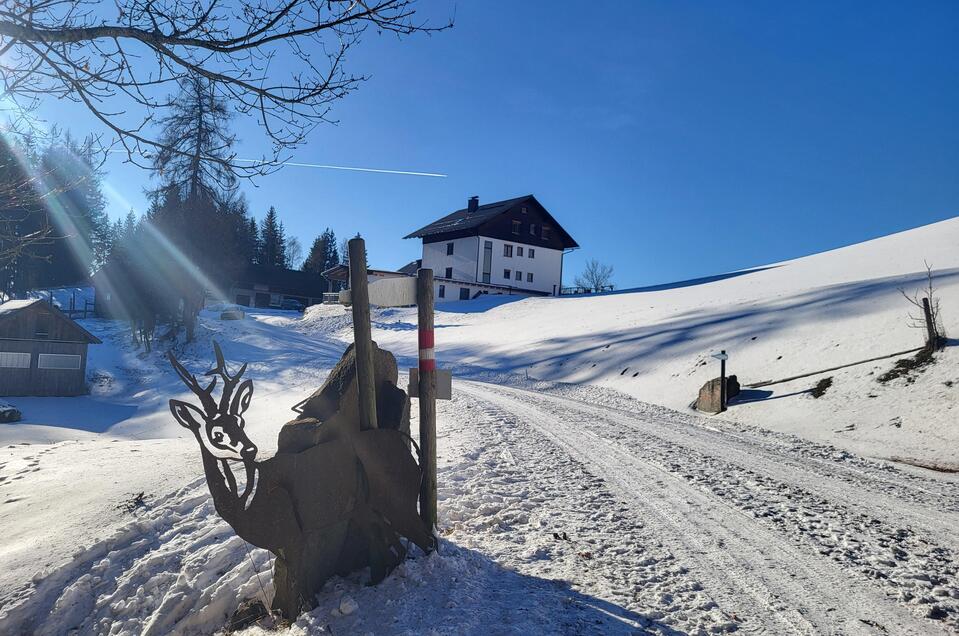 Bründlweg - Impression #1