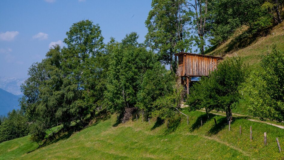 Wildtiermuseum | © Verein Romantischer Bründlweg