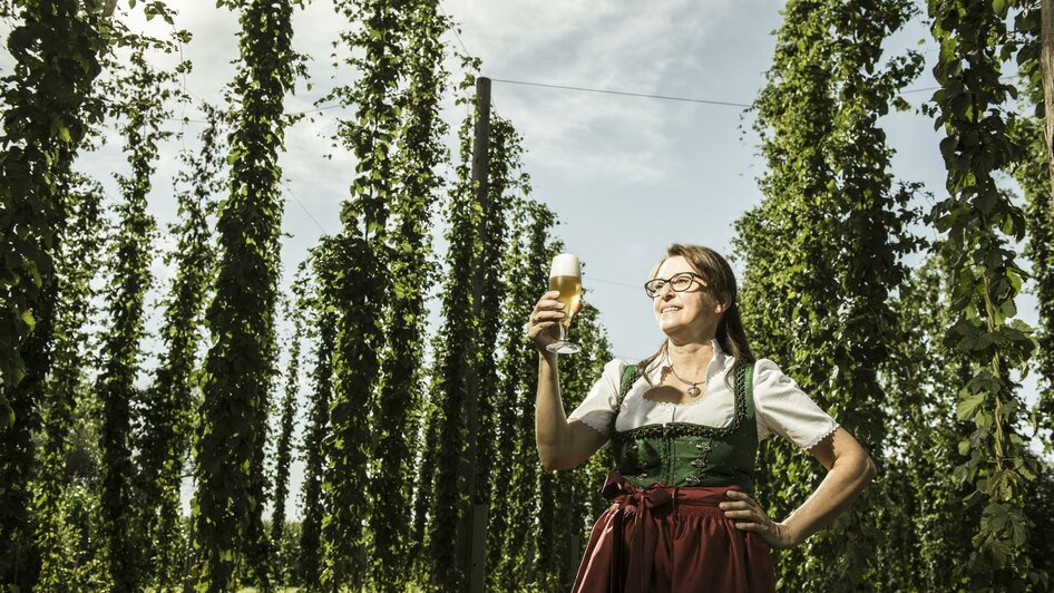 Brauerei Toni Bräu_Hopfenplantage_Oststeiermark | © Tourismusverband Oststeiermark