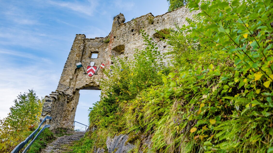 Eine alte Burgruine steht auf einem Hügel, umgeben von grünem Gebüsch. Die Struktur ist teilweise zerfallen und zeigt Wappen an der Fassade. | © Erlebnisregion Murtal