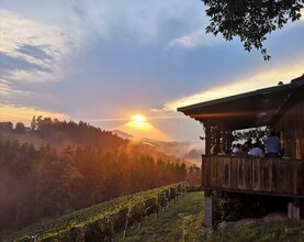 Sonnenuntergang_BS-Terrasse | © Weingut Bernd Stelzl