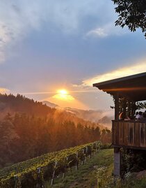 Sonnenuntergang_BS-Terrasse | © Weingut Bernd Stelzl | © Weingut Bernd Stelzl