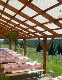 Buschenschank Christiner1 | Buschenschank Christiner