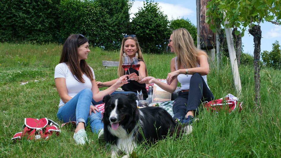 Picknick im Weingarten am Weingut Hiden | © Schilcherland Steiermark