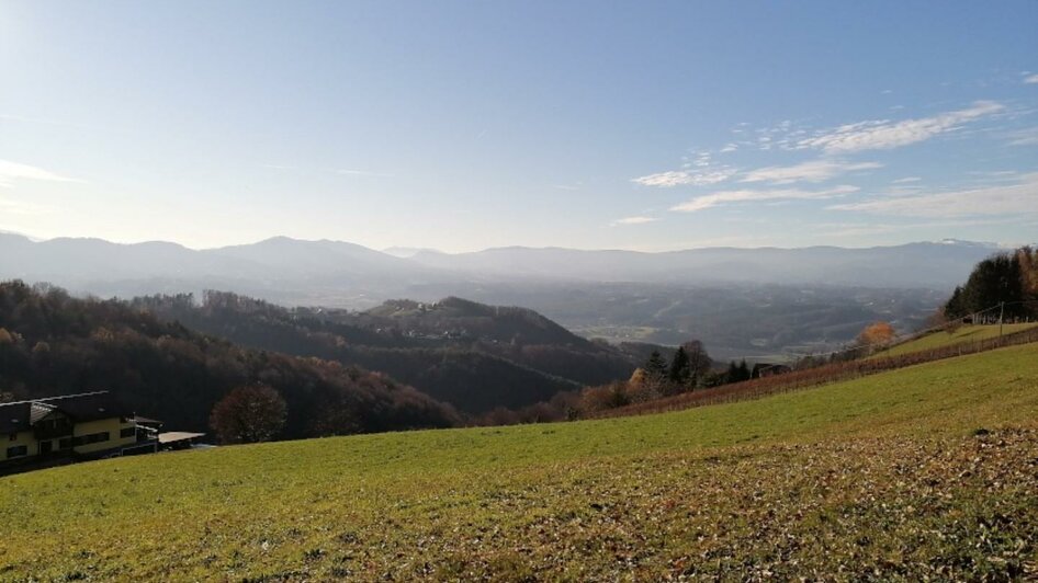 Buschenschank Klopfer-Glaserkeller | © Weingut  Klopfer