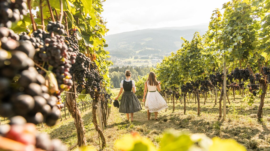 Zwei Personen gehen zwischen Weinreben im Weingarten des Weinguts Kremser-Greitbauer in Ligist. | © TV Region Graz - Die Abbilderei