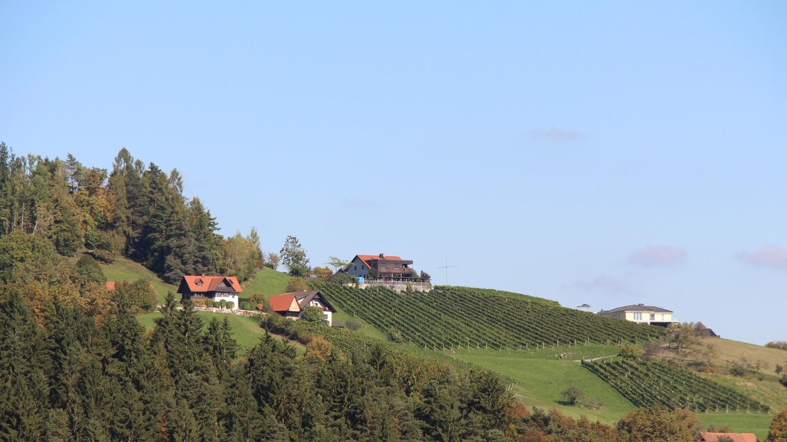 Weingärten und Höfe auf einem bewaldeten Hügel in der Weinregion rund um Ligist. | © Vanessa Züttl