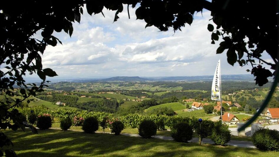 Aussicht | © Weingut Lambauer