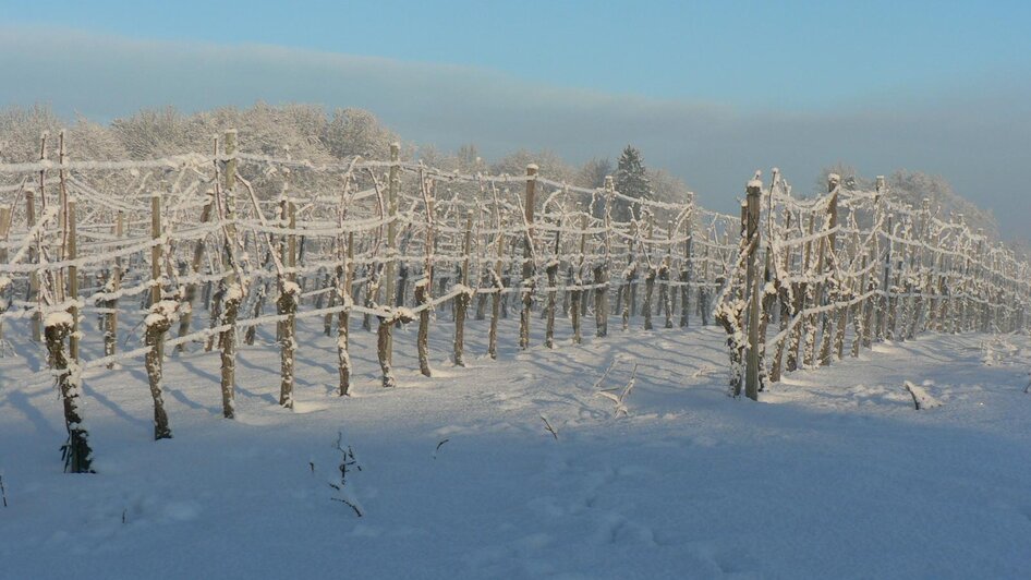 Weingut Marko im Winter | © Weingut Marko