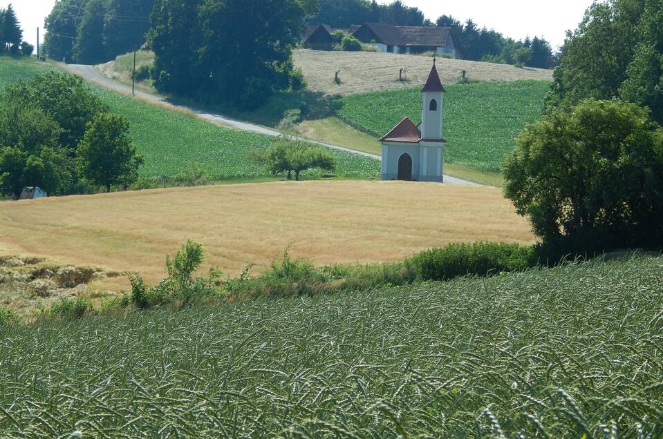 Buschenschank Mild-Neuherz - Impression #1 | © Manuela Schweinzer- Riegler