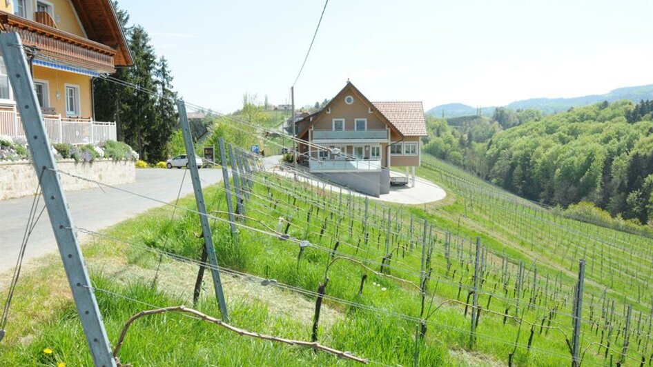 Weingartenblick | © Bernhard & Gertrud | Weingut Muster Bernhard & Ger