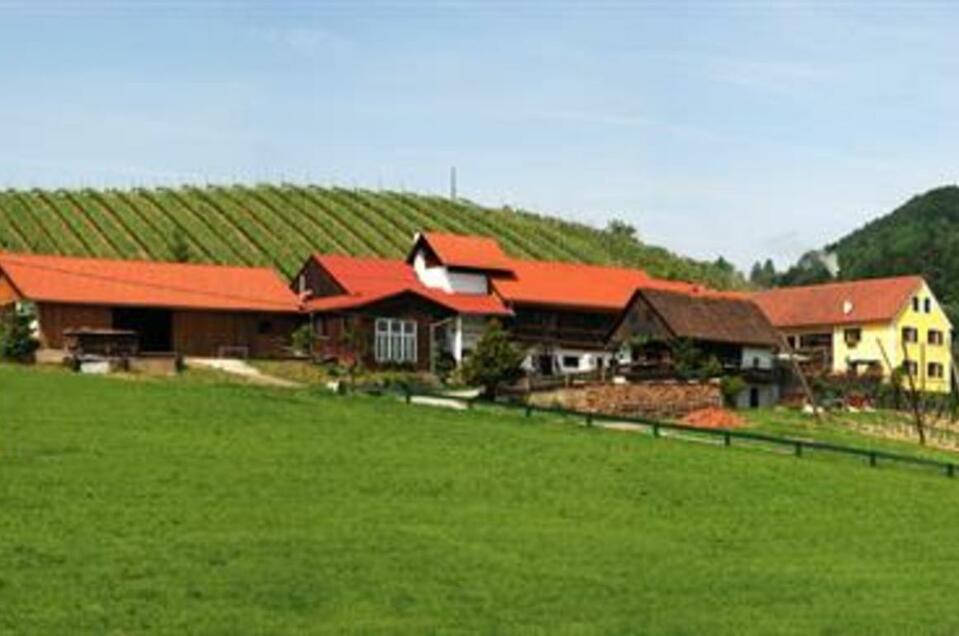 Buschenschank Strohmeier vlg. Teichbauer - Impression #1 | © Weingut Strohmeier vlg. Teichbauer