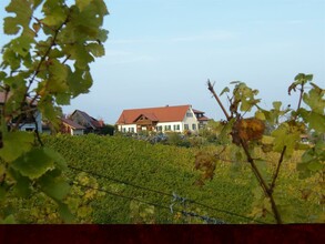 Weingut Stromeier Trobi | © Weingut Strohmeier Trobi