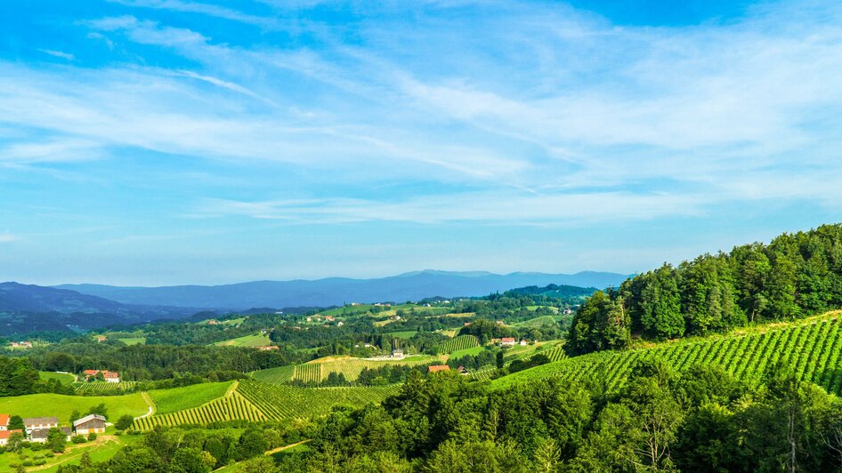 buschenschank_tscheppe_aussicht | © Familie Tscheppe | Weinbau Buschenschank Tscheppe