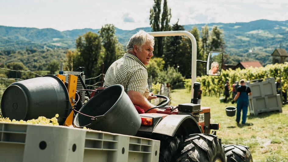 Weingut & Buschenschank Zweytick Lese | © Weingut & Buschenschank Zweytick | Fam. Zweytick