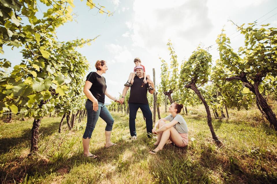 Charakterweine Josef Scharl in St. Anna/A. - Impression #1 | © Weinhof Scharl