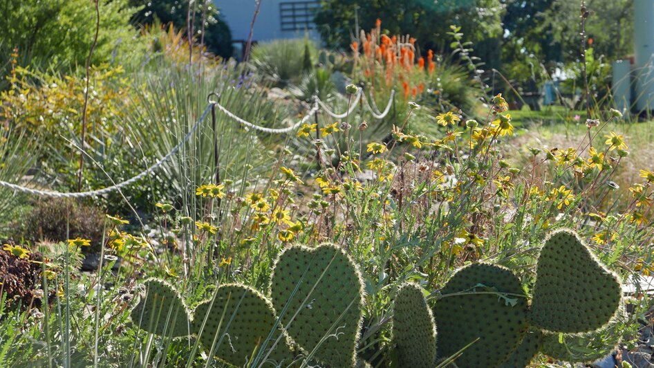 Der Wüstengarten_Garten3_Oststeiermark | © Der Wüstengarten