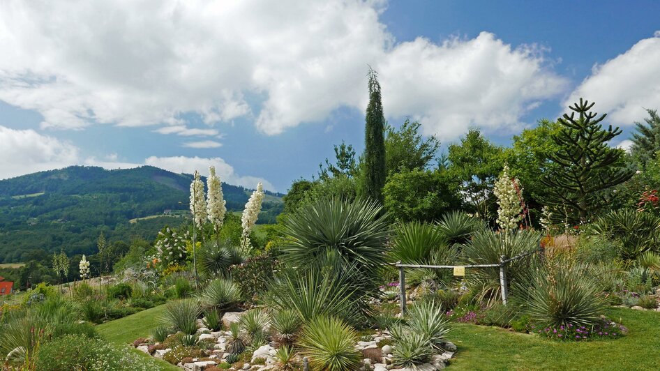 Der Wüstengarten_Garten1_Oststeiermark | © Der Wüstengarten