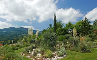 Der Wüstengarten_Garten1_Oststeiermark | © Der Wüstengarten