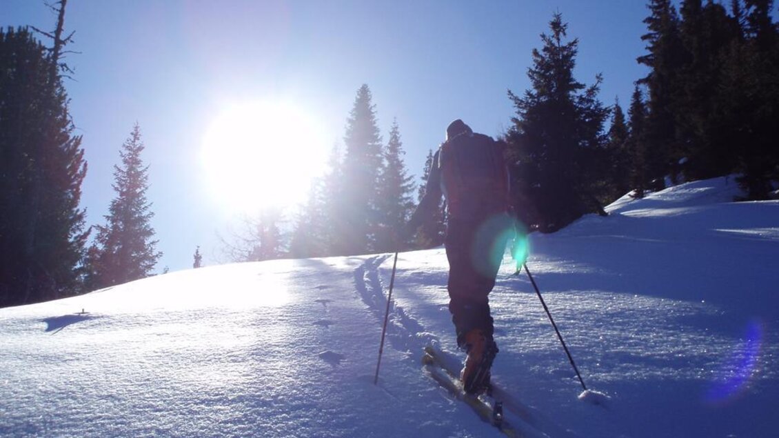 Ein Skifahrer, der einen verschneiten Hang hinaufgeht. Im Hintergrund scheint die Sonne durch die Bäume. | © Gundula Tackner