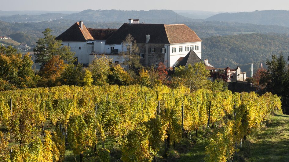 Schloss Kapfenstein umgeben von Weingärten | © Schlösserstraße