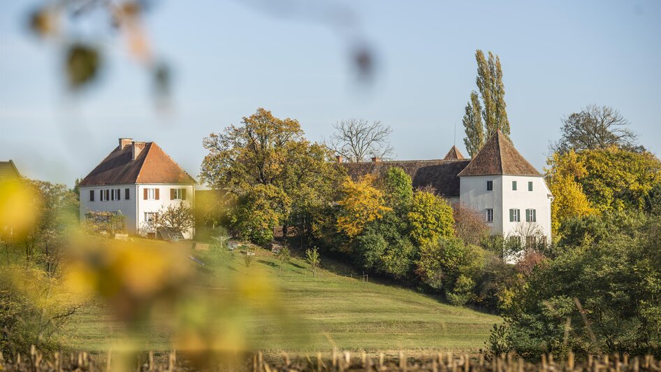 Schloss Welsdorf nahe Fürstenfeld | © Schlösserstraße