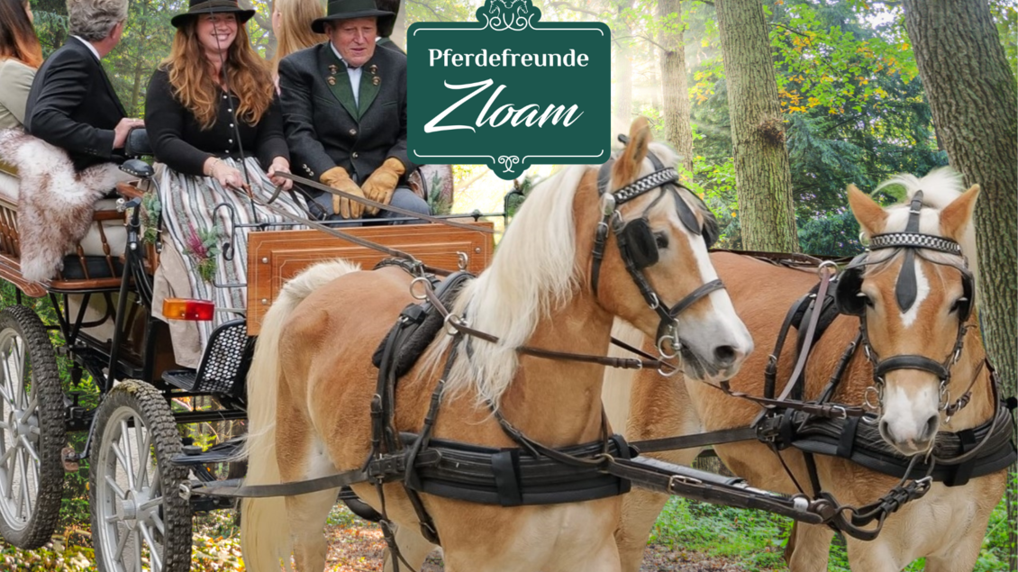 Eine elegante Kutsche mit zwei schönen Pferden fährt durch einen Wald. Die Passagiere tragen stilvolle Kleidung und genießen die Fahrt. | © www.zloam.at