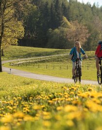 Radfahren_Oststeiermark_Bergmann | © Tourismusverband Oststeiermark | Bernhard Bergmann | © Tourismusverband Oststeiermark