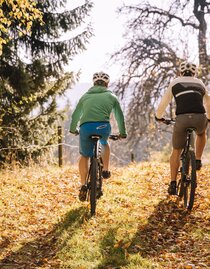 E-bike rental_cyclist on forest path_Eastern Styria | © Tourismusverband Oststeiermark | Bernhard Bergmann | © Tourismusverband Oststeiermark