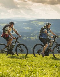 E-bike rental_mountainbiker_Eastern Styria | © Tourismusverband Oststeiermark | Bernhard Bergmann | © Tourismusverband Oststeiermark