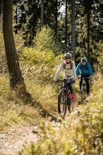 E-Bike Verleih_Radfahrer im Wald_Oststeiermark | © Tourismusverband Oststeiermark