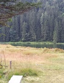 Spechtensee in Wörschachwald | © TVB Ausseerland Salzkammergut/Raunigg | TVB Ausseerland Salzkammergut/Raunigg | © TVB Ausseerland Salzkammergut/Raunigg