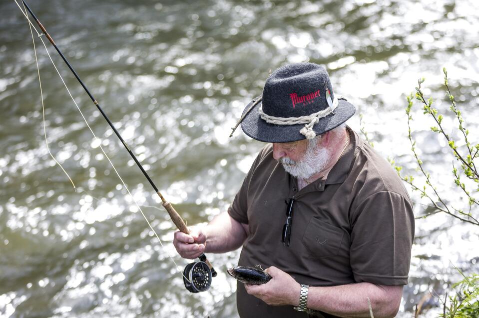 Fischteiche Reiter - Impression #1 | © Tourismusverband Murau