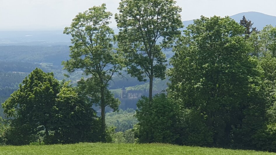 Ausblick zur Burg Thalberg von Flourl´s Wexlkino | © Oststeiermark Tourismus