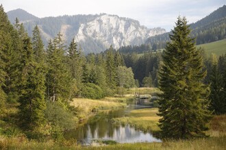 ForellenzuchtWuitz-Teich-Murtal-Steiermark | © Erlebnisregion Murtal