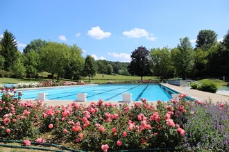 Rosenbad Fehring | © Stadtgemeinde Fehring