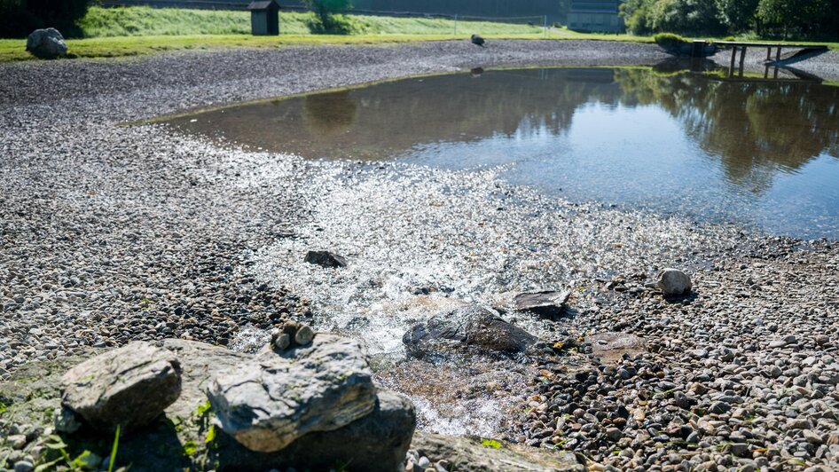 FreizeitanlageMöderbrugg-Anlage8-Murtal-Steiermark | Anita Fössl | © Anita Fössl FreizeitanlageMöderbrugg-Anlage8-Murtal-Steiermark | © Anita Fössl