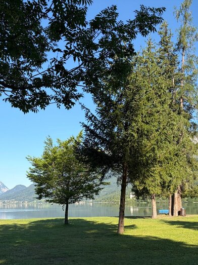 trees-bathing area-recreation center-goessl-Grundlesee | © TVB Ausseerland/Johanna Rastl | Johanna Rastl | © TVB Ausseerland/Johanna Rastl